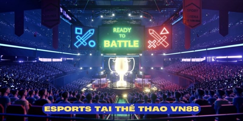 thể thao Vn88