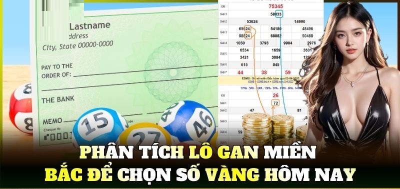 Lô gan miền Bắc